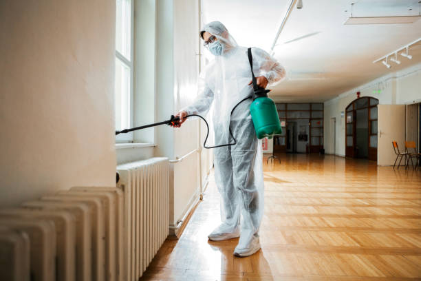 Best Flea Control Services  in Baden, MD