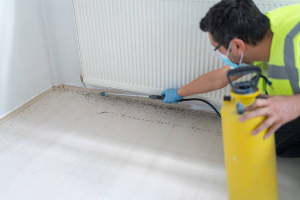 Best Local Pest Control Services  in Baden, MD