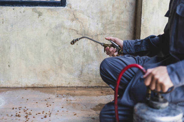 Best Best Pest Control Companies  in Baden, MD