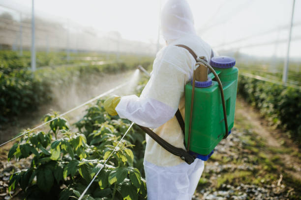 Best Bed Bug Extermination  in Baden, MD